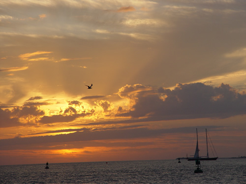 key-west-sunset-sail-boats.jpg