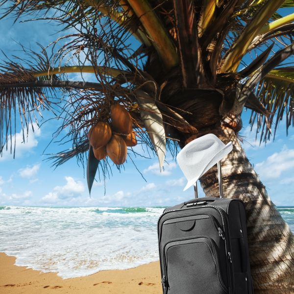 Tropical Vacation is near